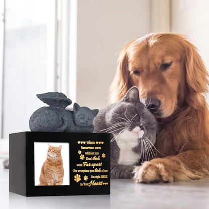 Pet Urns for Ashes, Black Wooden Cat Urns for Ashes with Cat Angel, Cat Memorial Keepsake Memory Box with Photo Frame, Loss Pet Sympathy Remembrance Gift (Medium - Memory)
