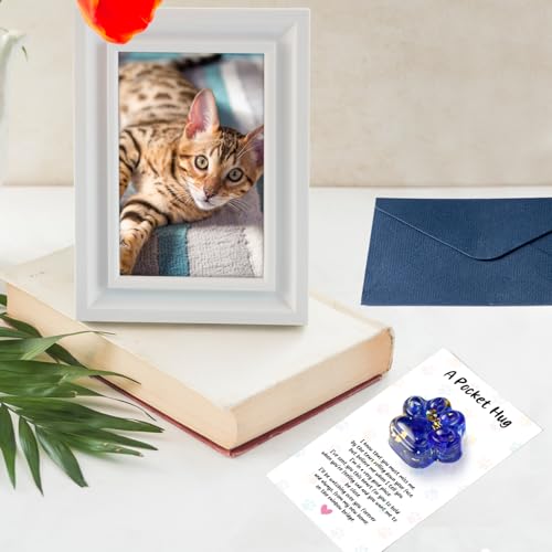 EYxsaxenk Loss of Pet Sympathy Gift Glitter Blue Dog Cat Paw Pocket Hug | Loss of dog cat mini keepsake, Memorial card & envelope, Remembrance pet sympathy gift for pet lover, Adult stress relief toy - color: 1pcs Blue + I KNOW Card