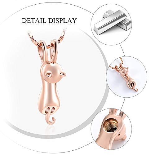 Imrsanl Pet Cremation Jewelry for Ashes Cat Urn Necklace - color: Rose Gold