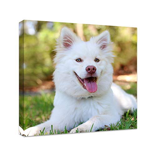 Personalized Photo to Canvas Print - Canvas Prints With Your Photos on Custom Wall Art for Bedroom, Living Room, Wedding Baby Pet Family Picture Framed Wall Art (16" W x 16" H) - size: 16"L x 16"W