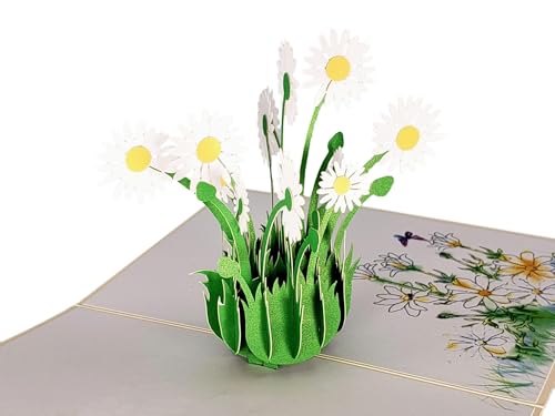iGifts And Cards White Daisy Bouquet 3D Pop-Up Card in Full Bloom 4.75x6.75 | Spring Floral Keepsake, Mother's Day, Get Well, Sympathy, Birthday For Her, Garden Lover, Wife, Friend, Bouquet Design - color: White Daisies