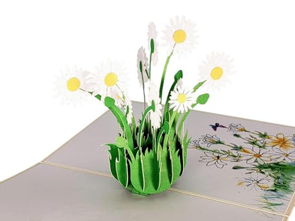 iGifts And Cards White Daisy Bouquet 3D Pop-Up Card in Full Bloom 4.75x6.75 | Spring Floral Keepsake, Mother's Day, Get Well, Sympathy, Birthday For Her, Garden Lover, Wife, Friend, Bouquet Design - color: White Daisies