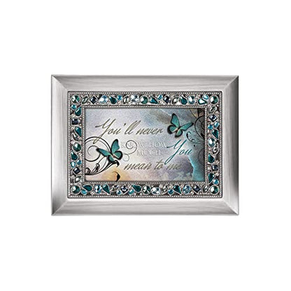 Cottage Garden Never Know How Much You Mean to Me Brushed Silvertone Jeweled Music Box Plays Wonderful World