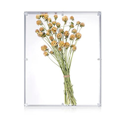 16x20 Acrylic Shadow Box, Assemble Display Case, DIY Tabletop/Wall Mount Display Frame, All Clear Memory Box for Dried Flowers/Kids Room/Birthday/Wedding(16x20x3”, Assemble Frame) - size: 16x20", Assembly Frame