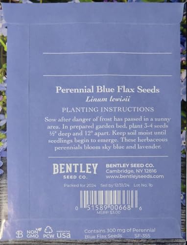 Perennial Blue Flax Seeds (300mg) Seeds of Remembrance Gift