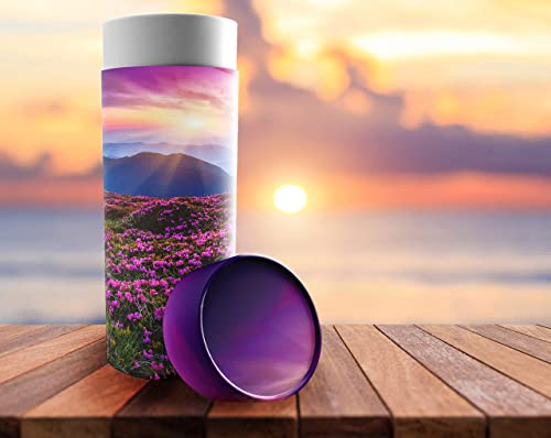 Eco-friendly Biodegradable Urns for Adult Ashes - Scattering Tube - Cremation Urns - color: Heaven on Earth, size: Medium 10"x4"