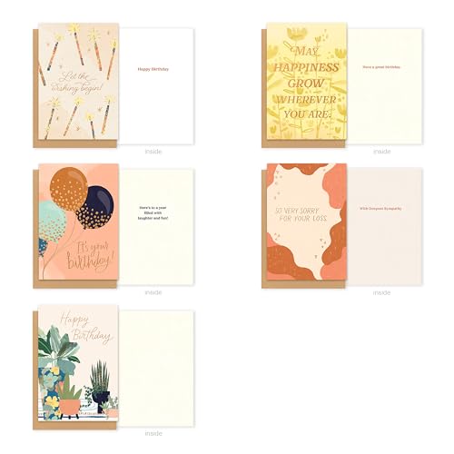 American Greetings 10-Count All Occasions Card Bundle with Envelopes- Birthday, Congrats, Support, Friendship, Thank You, and Sympathy