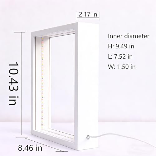Shadow Box Frame with Lights 10'' ×8 '' Memory Boxes Keepsakes Display Case Dried Flower 3D Deep Picture Frame Memorial Gifts Memorabilia Medal Wedding Travel Baby Items (White) - color: White