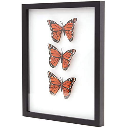 Super-Sturdy, 11x14 Black Shadow Box Frame With Glass 1. Great Seashell Display Case Size 9 None Quality Display Box - color: Black, size: 1pk