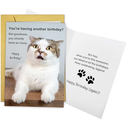 Qiliji Hilarious Cat Birthday Card for Him Her, Lovely Happy Birthday Card for Cat Lover, Funny Cats Mom or Cats Dad Bday Cards - color: Cat Birthday