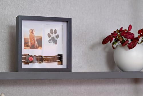 OtterPets Paw Print Kit for Dogs 9x9, 4 customizable displays (Black) - color: Black