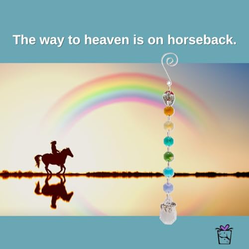 Pet Perennials Horse Suncatcher – Crystal Rainbow Prism with Angel Wings & Charm – Horse Loss Gifts for Window Display – Memorial Ornament for Equine Remembrance & Sympathy