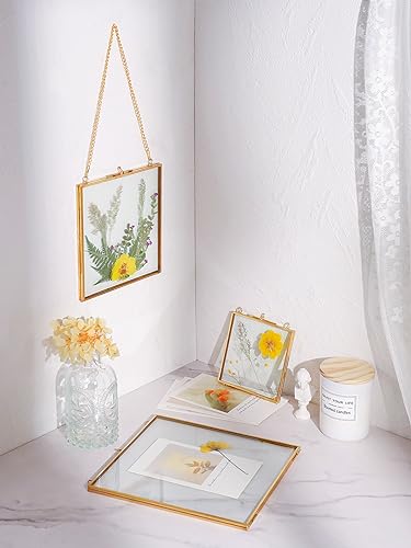 REDHUGO Glass Pressed Flower Frames, Square, Gold, 4x4 Inches - color: Gold, size: 4L" x 4W"