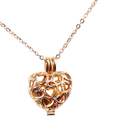 Paw Print Heart Pet Ashes Memorial Necklace with Mini Inner Box-B-Rose Gold | Pet Cremation Jewelry for Ashes, Cremation Urn Jewelry to Hold Dog & Cat Ashes Pendant with Box Filling Tools - color: B-Rose Gold