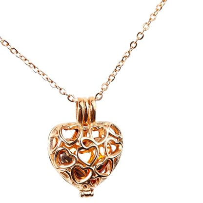 Paw Print Heart Pet Ashes Memorial Necklace with Mini Inner Box-B-Rose Gold | Pet Cremation Jewelry for Ashes, Cremation Urn Jewelry to Hold Dog & Cat Ashes Pendant with Box Filling Tools - color: B-Rose Gold