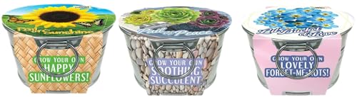 Flowering Tin Plant Seeds 3 Variety Pack, DIY Indoor Succulents and Live Plants for Home or Garden Planting, Assorted Tin Pack - color: Assorted Tin Garden 3-PK