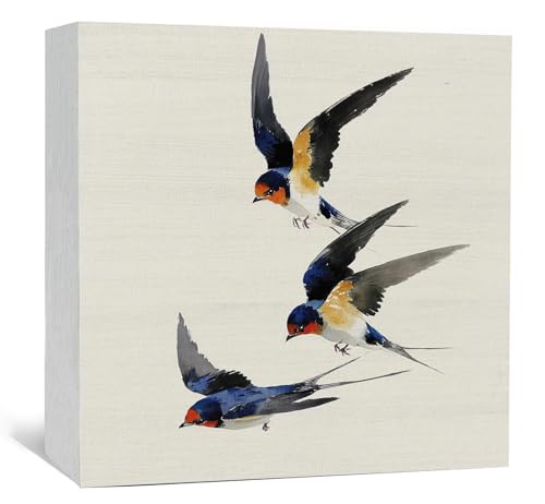 Vintage Bird Swallows Decor Sign - Vintage Bird Swallows Wooden Box Signs,Cute Birds Desk Shelf Table Decor Decorative Signs & Plaques - color: Birds-11, size: 5x5 in