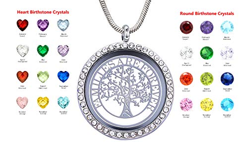 GOKING Family Tree of Life Floating Locket, Familes Are Forever Necklace - color: Silver (Treeoflife 03)