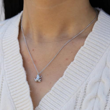Baydurcan Pendant Necklace for Women Friends Sister Birthday Christmas Gift | Silver Evil Eye Ankh Mary Friendship Dragonfly Hummingbird Snake Turtle Pendant Necklace for Her Just Because Gifts - style: Frog