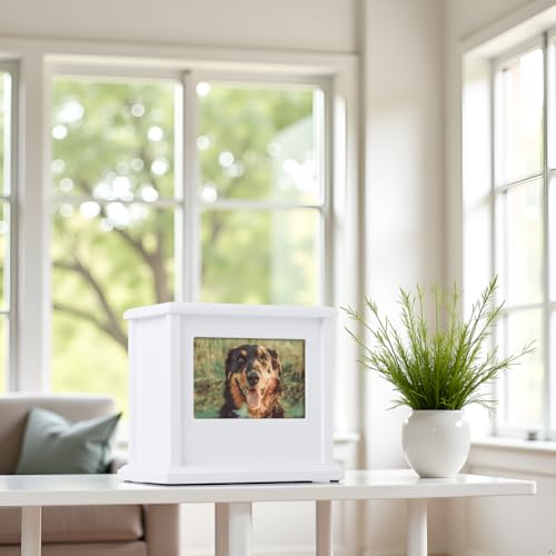 Pearhead Pet Wooden Photo Memory Keepsake Box & Urn, Memorial For Dog & Cat Ashes and Mementos, 4 × 6 Picture Insert, Medium, White