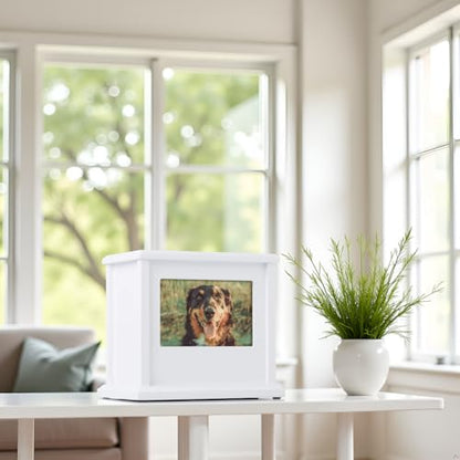 Pearhead Pet Wooden Photo Memory Keepsake Box & Urn, Memorial For Dog & Cat Ashes and Mementos, 4 × 6 Picture Insert, Medium, White
