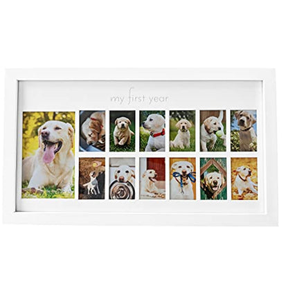 Green Pollywog My First Year Dog Picture Frame, 12-Month - size: Dog First Year Frame - White