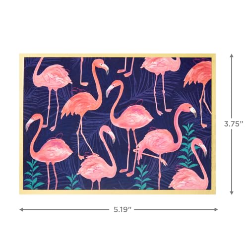 Hallmark Boxed Thank You and Blank Cards Assortment (Four Assorted Tropical Designs, 40 Note Cards and Envelopes) - style: Tropical Designs