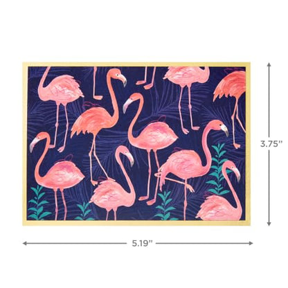 Hallmark Boxed Thank You and Blank Cards Assortment (Four Assorted Tropical Designs, 40 Note Cards and Envelopes) - style: Tropical Designs