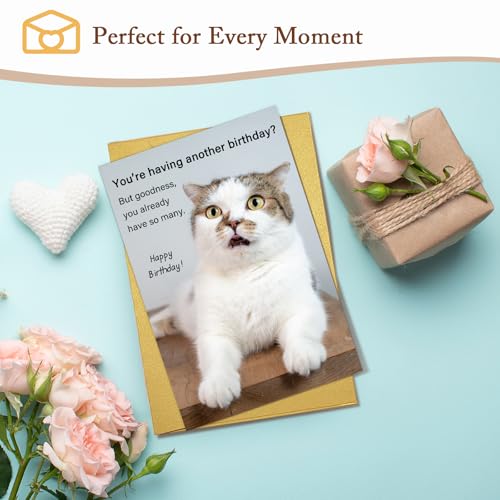 Qiliji Hilarious Cat Birthday Card for Him Her, Lovely Happy Birthday Card for Cat Lover, Funny Cats Mom or Cats Dad Bday Cards - color: Cat Birthday