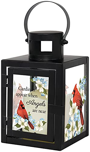 The Bridge Collection Memorial Lantern with Flameless Candle (Cardinals) | Painted Glass & Metal Bereavement Hanging Lantern for Sympathy Funeral Gift or to Remember Loved One - color: Cardinals Appear