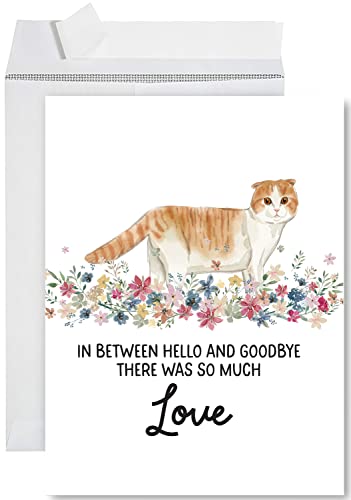 Andaz Press Jumbo Pet Sympathy Card with Envelope, Sorry For Your Loss, Scottish Fold Cat, Loss Of Pets, Cat Grief Bereavement Card with Big Blank Space to Send to Friends, Family, 8.5" x 11", 1-Pack - color: Scottish Fold Cat