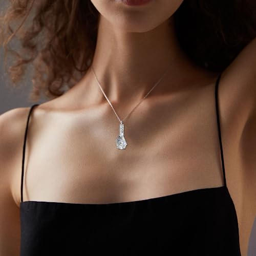 PELOVNY Urn Necklace for Ashes 925 Sterling Silver Butterfly Dragonfly Bee Phoenix Hummingbird Urn Necklaces Animal Crystal Cremation Jewelry for Ashes Cat Dog Pet Memorial Gifts - color: 18-Hummingbird Urn A