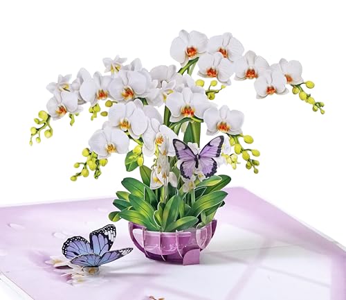 CUTPOPUP Sympathy Pop Up Card, 3D Orchid Flower Condolence Card, With Deepest Sympathy Bereavement Card for Loss of Loved One, Mom, Dad, Pet SD293US - color: Sympathy Orchid-6x8in