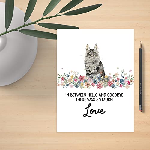 Andaz Press Jumbo Pet Sympathy Card with Envelope, Sorry For Your Loss Card, Main Coon Cat Loss Of Pets, Cat Grief Bereavement Card with Big Blank Space to Send to Friends, Family, 8.5" x 11", 1-Pack - color: Main Coon Cat