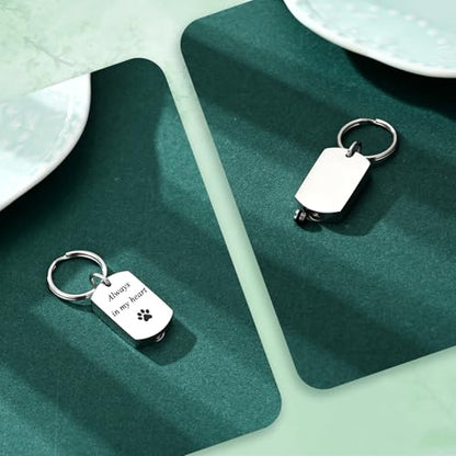 Pet Paw Cremation Jewelry Urn Keychain for Ashes for Women Men Memorial Keepsake Keychain - color: Silver