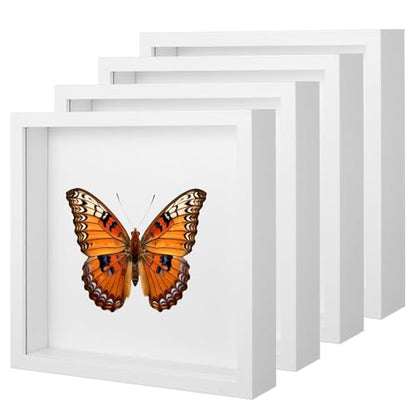 4 Pack Shadow Box Frames, 8 x 8 Inches Square Artificial Board Shadow Boxes Display Case, White 3D Picture Frames for Photos, Dried Flowers, Wall Mounted Handicraft Photo Frame - color: White, size: 8X8