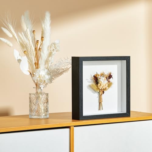 Travel Adventure Archive Shadow Box Frame with Slot, 8x8in Black - color: Black, size: 8x8in