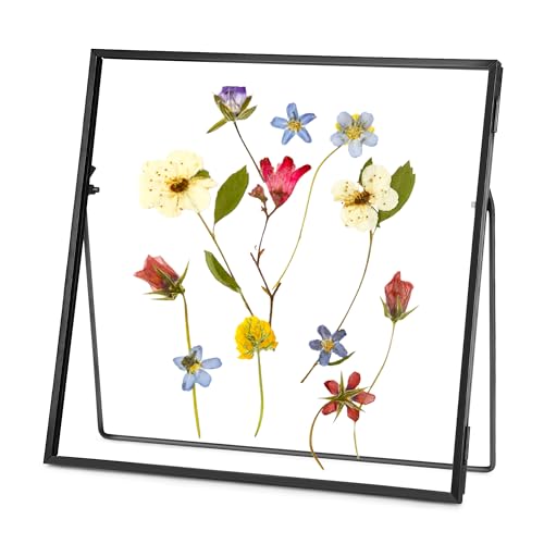 REDHUGO Double Glass Frame for Pressed Flowers, Square, Black, 6x6 Inches - color: Black, size: 6L" x 6W"