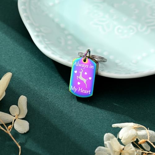 Cremation Jewelry Urn Keychain for Ashes for Women Men Memorial Keepsake Pendant - color: Rainbow