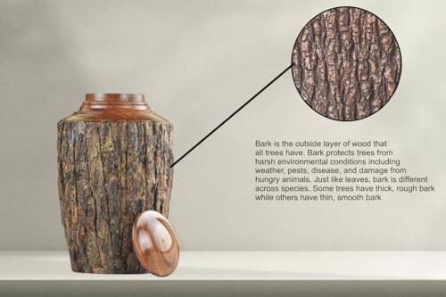 Medium Cremation Urn for Adult Ashes – 160 cu in – Rustic Rosewood Bark Wooden Memorial Urn – Handcrafted Funeral Jar for Human Ashes(Medium) - size: Medium(160cu/in)