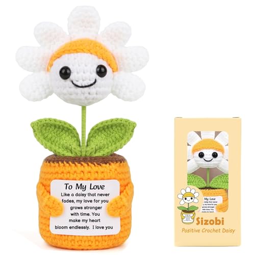 Sizobi Valentines Day Gifts for Him Her - Positive Daisy Crochet | Anniversary Birthday Gifts for Men Women Boyfriend Girlfriend Husband Wife, Couple Valentines Gift, I Love You Wedding Gift - style: To My Love