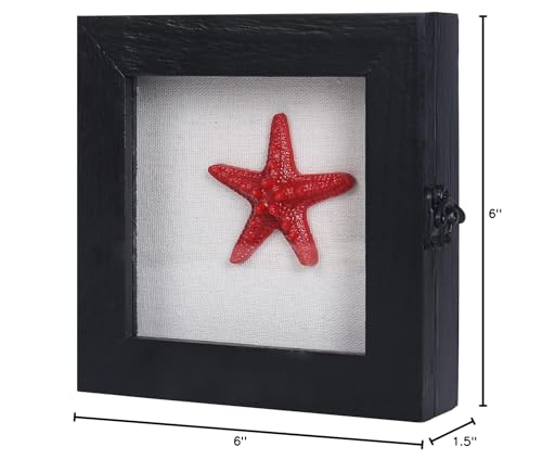 6x6 Small Shadow Box Frame with Glass, Hinged Door, Solid Wood, Black