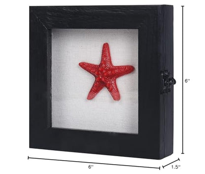 6x6 Small Shadow Box Frame with Glass, Hinged Door, Solid Wood, Black