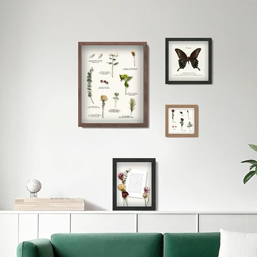 FrameWorks 11x14 Driftwood Wooden Shadow Box Frame – Soft Felt Back, Tempered Glass, and Included Elegant White Ball Push Pins - color: Grey, size: 11"x14"