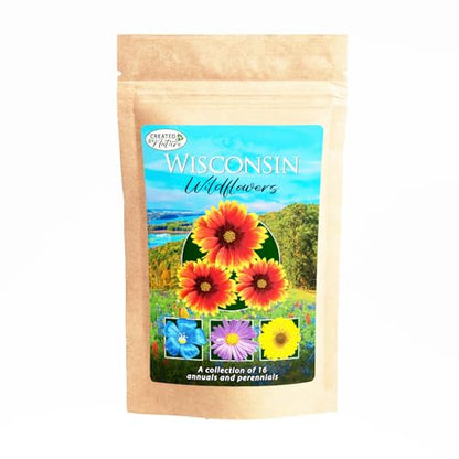 Wisconsin Wildflower Seed Mix – Over 40,000 Flower Seeds, Covers 300 Sq Ft | 16 Colorful Annual and Perennial Wildflower Varieties for Wisconsin Gardens, Attracts Bees, Butterflies and Other Pollinators