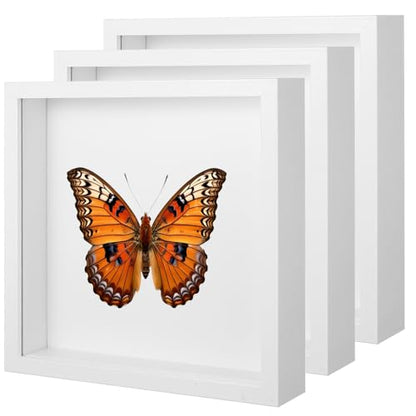 3 Pack Shadow Box Frames, 8 x 8 Inches Square Artificial Board Shadow Boxes Display Case, White 3D Picture Frames for Photos, Dried Flowers, Wall Mounted Handicraft Photo Frame