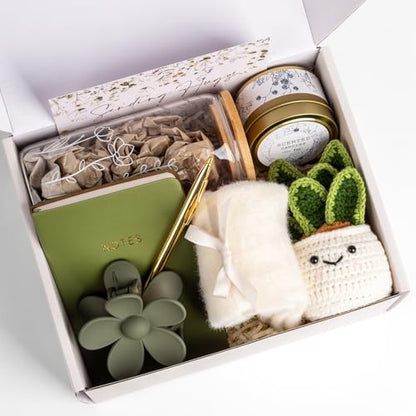 Get Well Care Package for Women - Feel Better Soon Basket, Sympathy and Thinking of You Gifts After Surgery Recovery - color: Green Snake Plant
