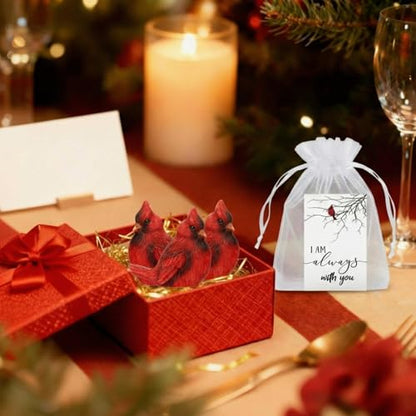 Roowest 18 Pcs Chrismas Cardinal Memorial Gift Set | Include Mini Red Cardinal Bird Statue Figures to Hide, Red Feathered Card, Organza Bag, For Memorial Gift, Christmas Decor
