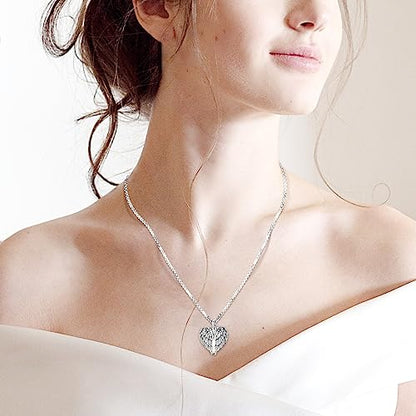 Angel Wings Necklace 925 Sterling Silver Guardian Angel Nurse RN Caduceus Pendant Charm Crystal Angel Jewelry Gifts for Women - style: E-Angel Wings Urn