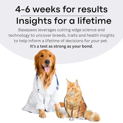 Basepaws Cat DNA Test Kit, Breed, Health & Dental Insights, 114 DNA Traits - size: 1 Count (Pack of 1)